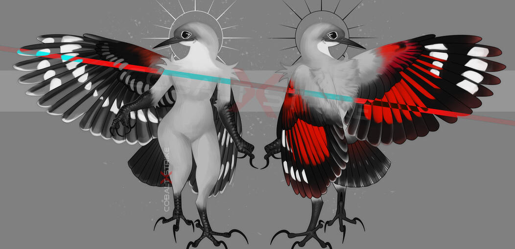 Wallcreeper bird character